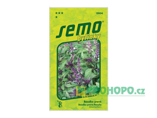 SEMO Bazalka pravá Cinamonette skořicová