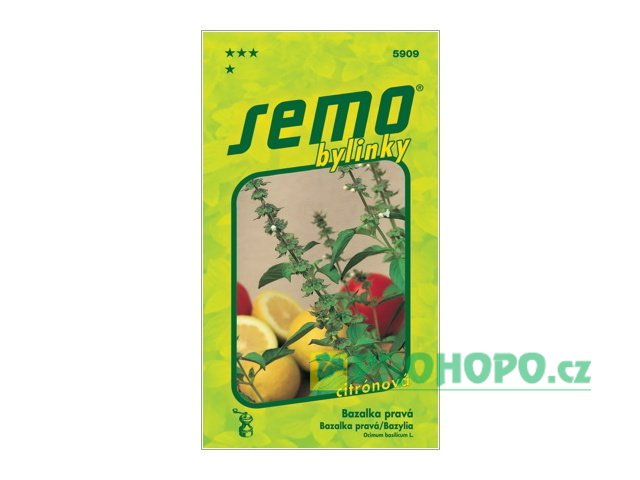 SEMO Bazalka pravá Lime citrónová