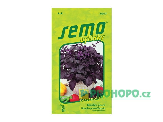 SEMO Bazalka pravá Purple Opaal červenolistá