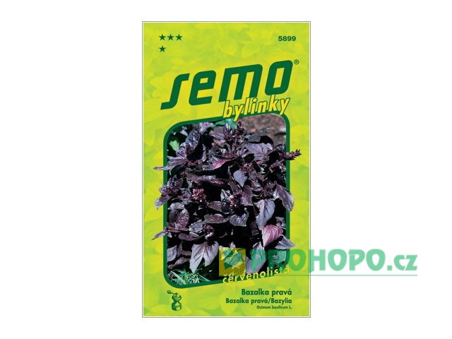 SEMO Bazalka pravá Red Rubin červenolistá