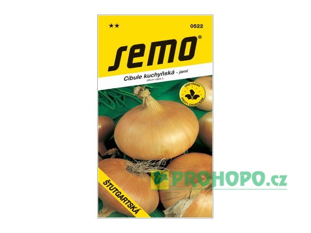 SEMO Cibule Štutgartská jarní