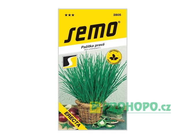 SEMO Pažitka Erecta raná