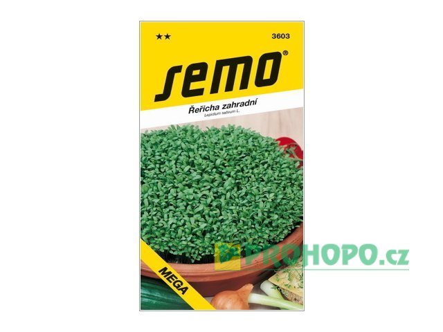 SEMO Řeřicha zahradní Mega celoroční k rychlení