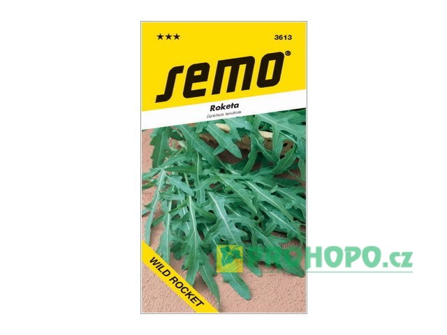 SEMO Roketa - Rukola setá Wild Rocket