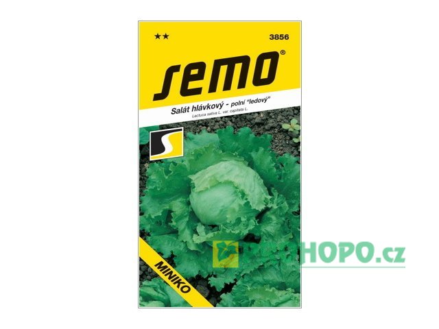 SEMO Salát hlávkový Miniko ledový velmi raný na pole
