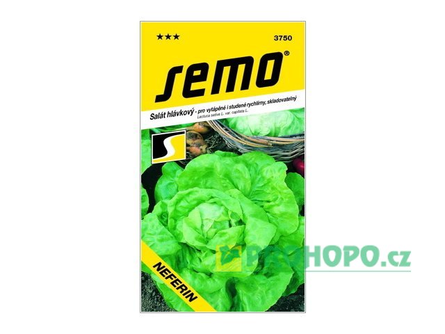 SEMO Salát hlávkový Neferin k rychlení raný na pole