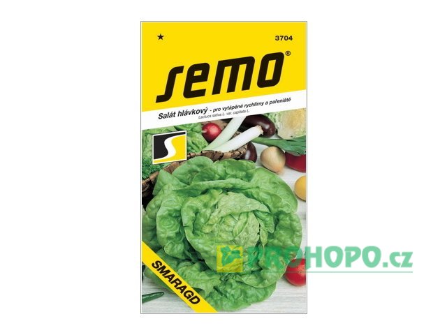 SEMO Salát hlávkový Smaragd k rychlení polopozdní do pařeniště