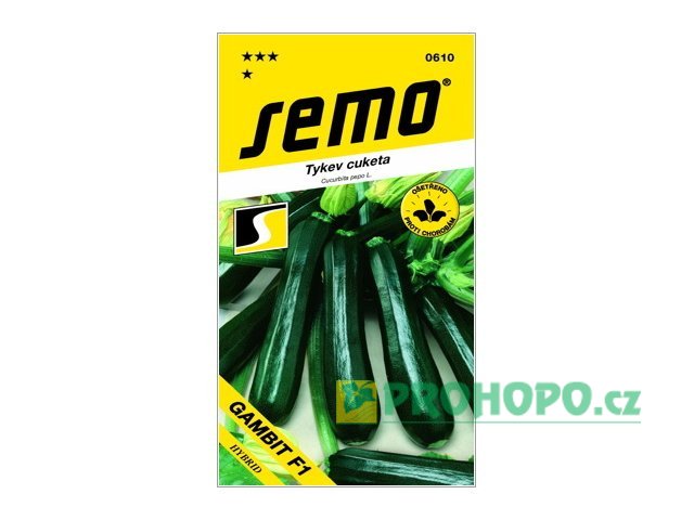 SEMO Tykev cuketa Gambit F1 raná