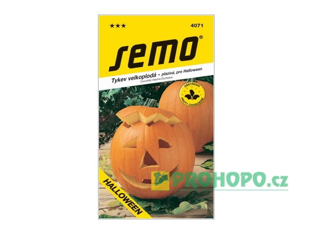 SEMO Tykev velkoplodá Gran Gigante pro Halloween plazivá