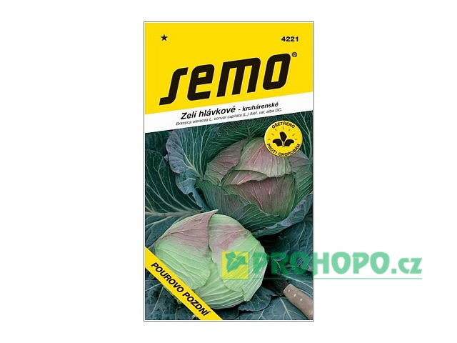 SEMO Zelí hlávkové Pourovo pozdní krouhárenské