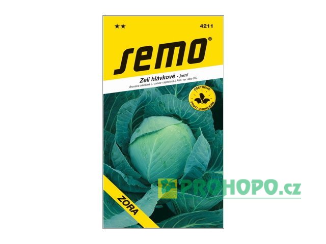 SEMO Zelí hlávkové Zora rané pro přímý konzum