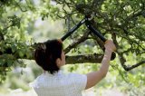 Nůžky Fiskars 112190 na silné větve PowerGear™ L70 převodové, háková hlava (S), dvoučepelové