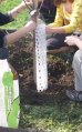 Ochrana stromu provlékací 103cm -  k ochraně kmenů listnatých stromků před okusem zvěří