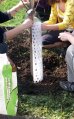 Ochrana stromu provlékací 56cm -  k ochraně kmenů listnatých stromků před okusem zvěří