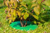Ochrana stromu TreeGuard 25cm [GR250] - chrání kmen stromu proti poškození sekačkou