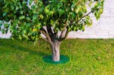 Ochrana stromu TreeGuard 48cm [GR500] - chrání kmen stromu proti poškození sekačkou