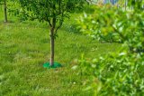 Ochrana stromu TreeGuard 48cm [GR500] - chrání kmen stromu proti poškození sekačkou