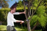 Pilka Fiskars 123880 zahradní Xtract™ SW75 velká