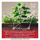 Silva Tabs Jahody 250g - postupně se uvolňující hnojivo v tabletách na 10 měsíců