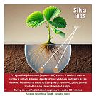 Silva Tabs Jahody 250g - postupně se uvolňující hnojivo v tabletách na 10 měsíců