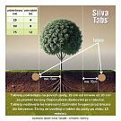 Silva Tabs Okrasné dřeviny 250g - postupně se uvolňující hnojivo v tabletách na 12 měsíců
