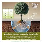 Silva Tabs Okrasné dřeviny 250g - postupně se uvolňující hnojivo v tabletách na 12 měsíců