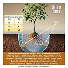 Silva Tabs Ovocné stromy a keře 250g - postupně se uvolňující hnojivo v tabletách na 12 měsíců